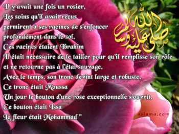 Le Rosier