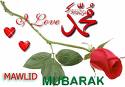 Avis sur la célébration du Mawlid 