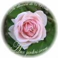 ::: Le temps !!!:::