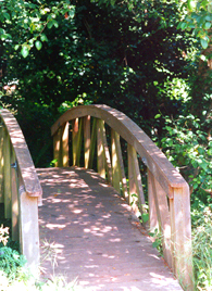 Le pont de l'amitié,de la reconciliation et de l'amour !